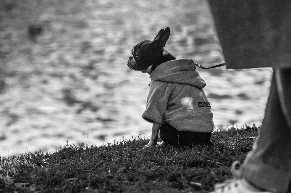 Photograph by Oleksii Smoliakov