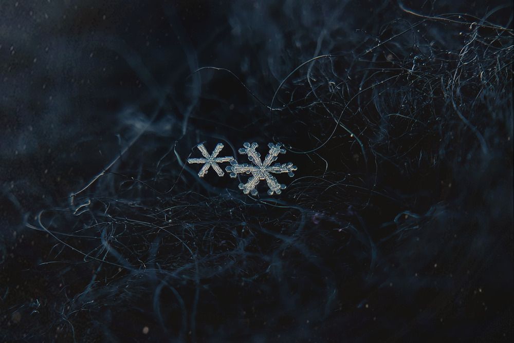 Photograph by Алсу Исмагилова