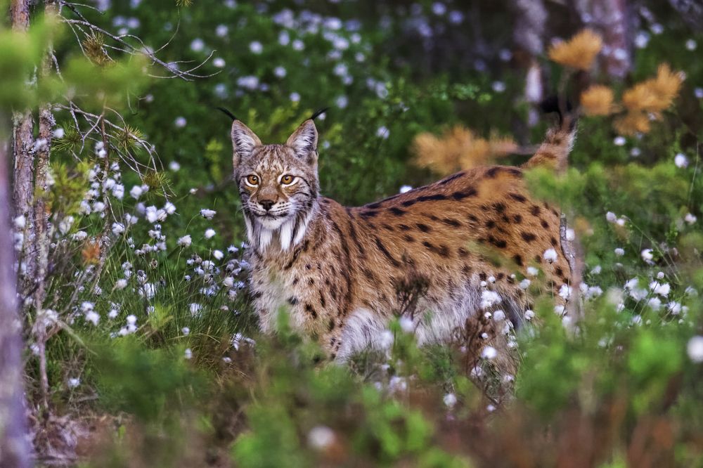 Photograph by Rick Heeres