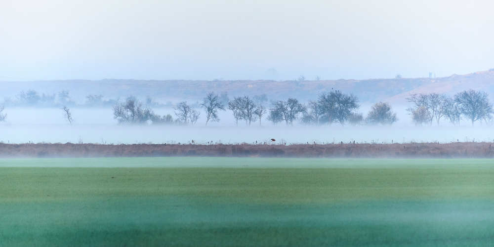 Photograph by Михаил Нестеренко