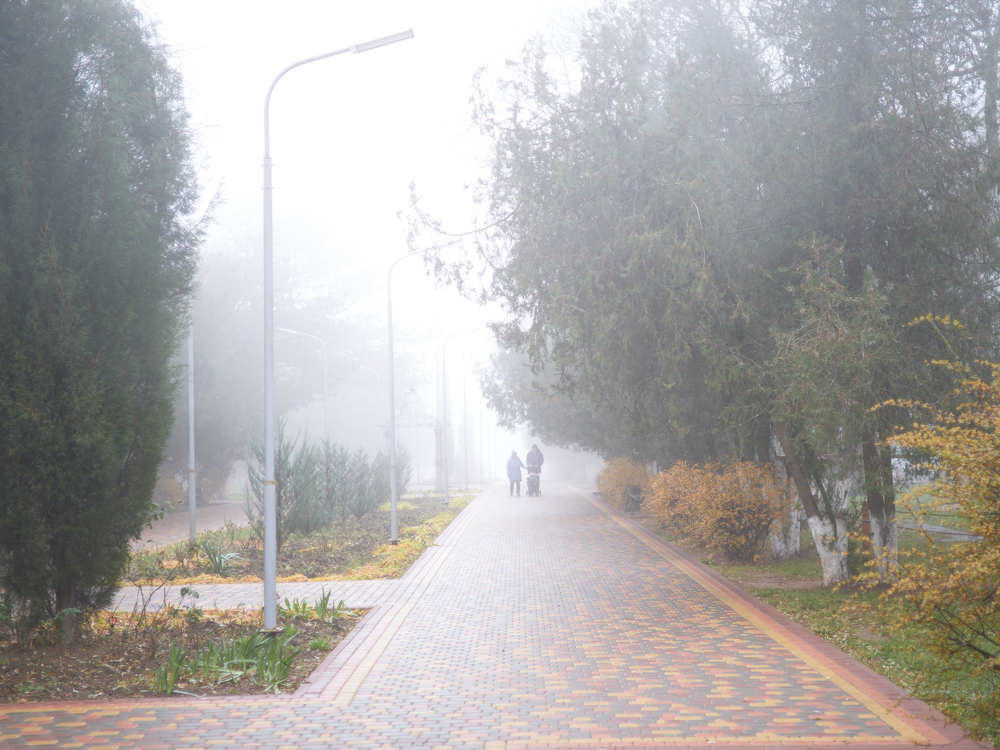 Photograph by Михаил Нестеренко