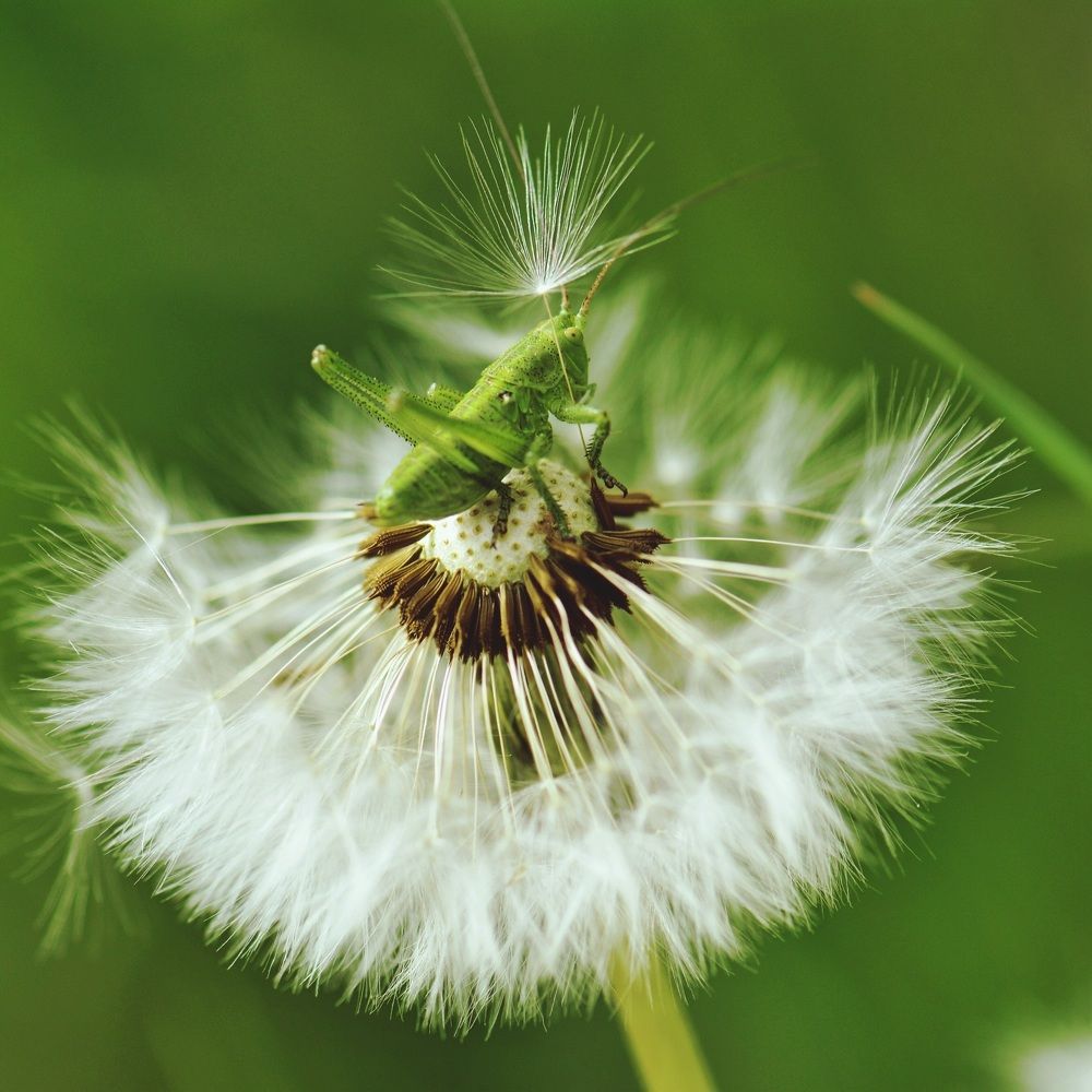 Photograph by Римма Большакова