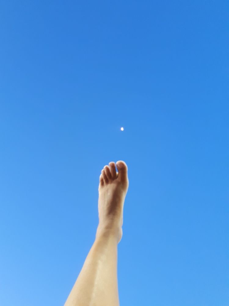 Фотография автора Marcia de Freitas Araujo