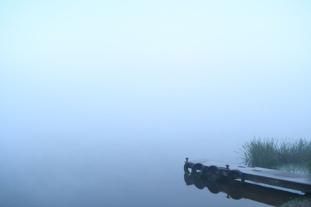 Photograph by Виталий Попов