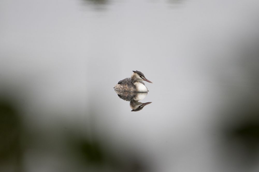 Photograph by Михаил Косяк