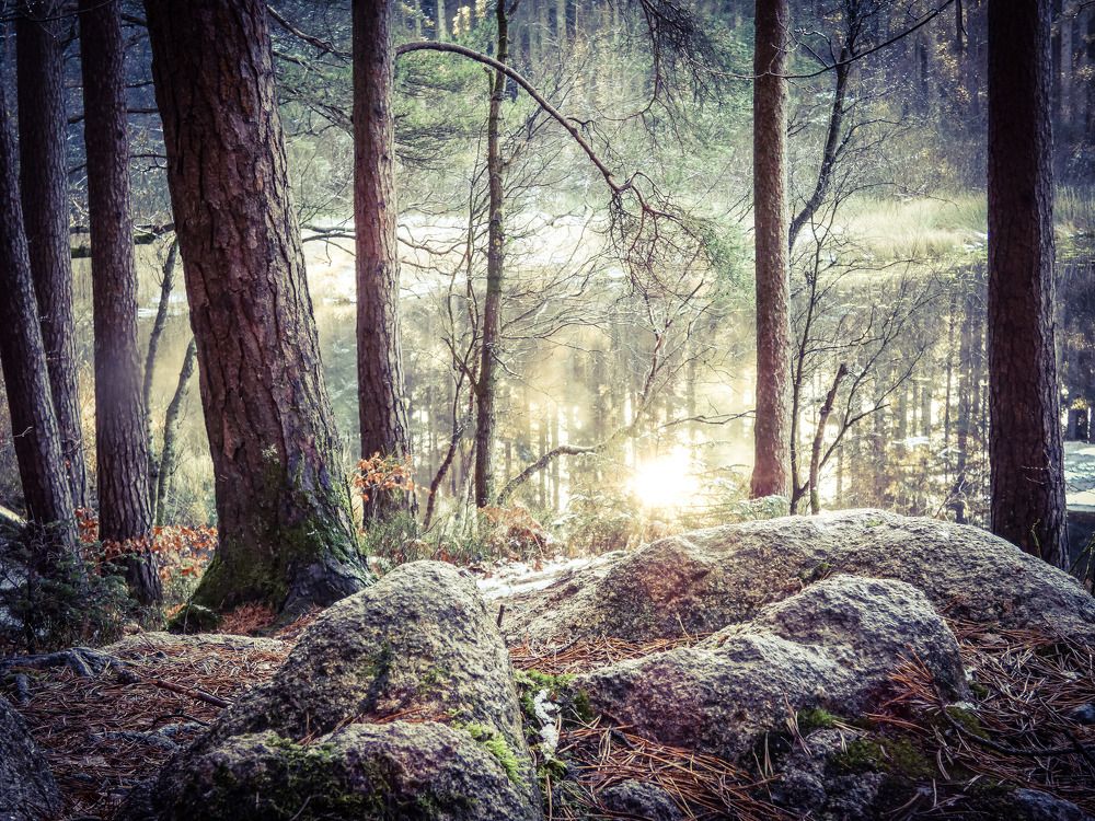 Фотография автора Michael Gault