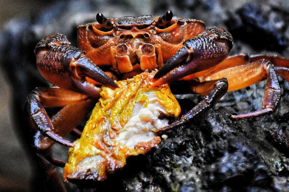 Photograph by seyyed mohammad andy