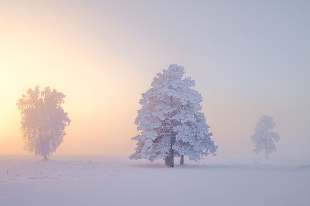 Photograph by Константин Леонтьев