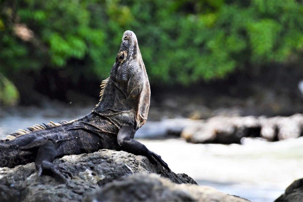 Photograph by Lola Vierse