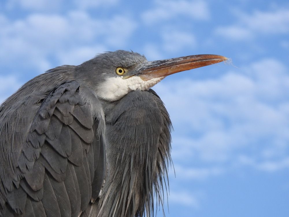 Фотография автора Юлия Овчинникова