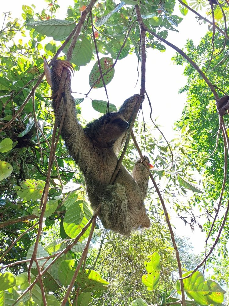 Photograph by Lola Vierse