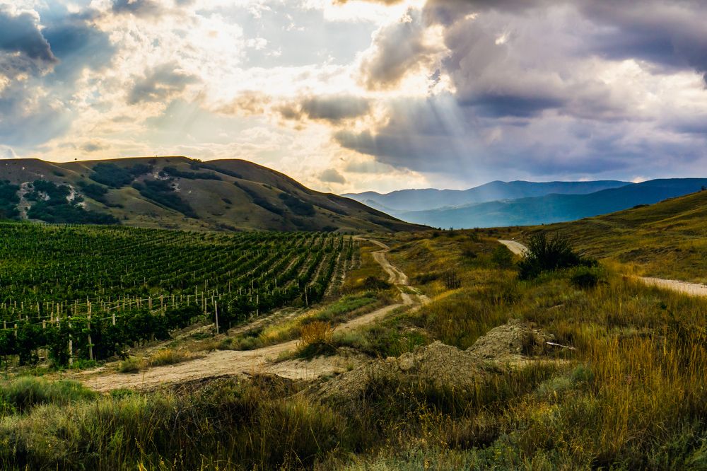 Photograph by Денис Шестаков