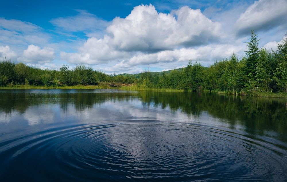 Photograph by Екатерина Назарова
