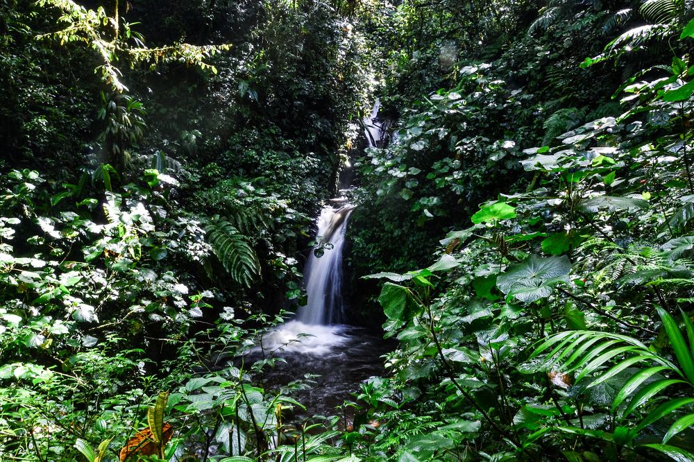 Photograph by Lola Vierse