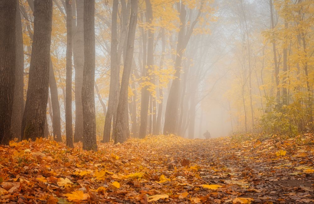 Октябрьские туманы