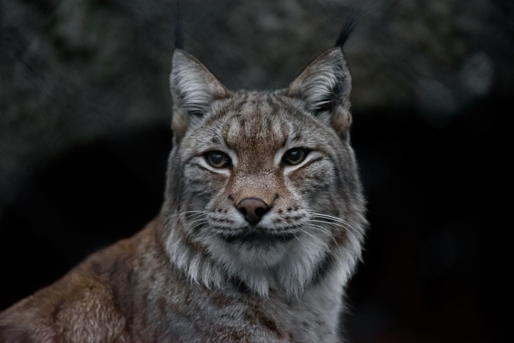 Photograph by Антон Бойков