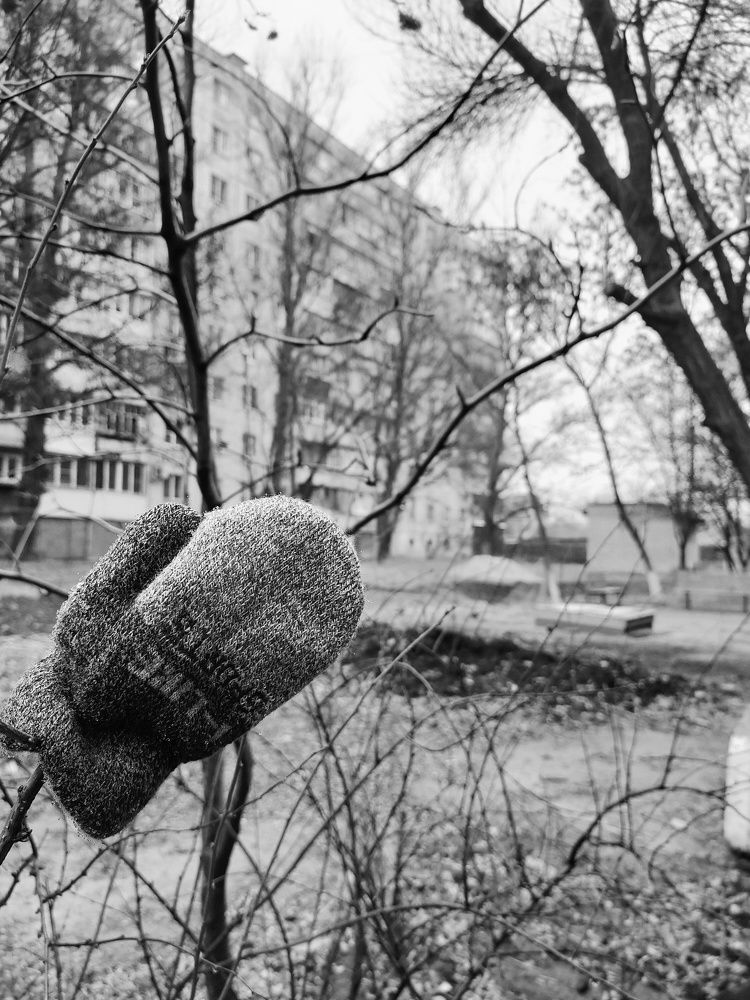 Варежка (Mittens)