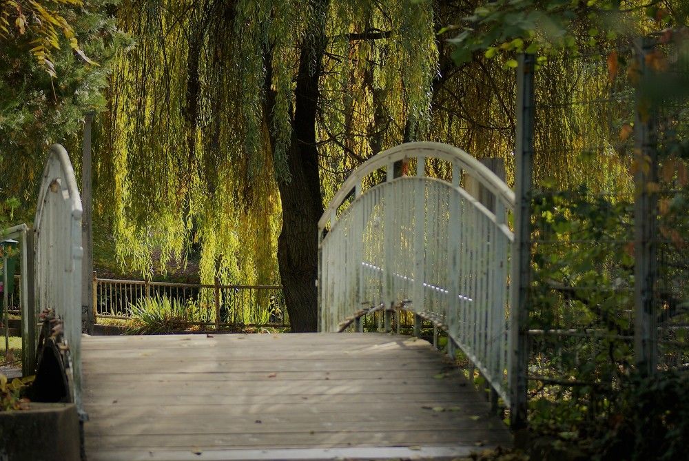 Photograph by Kálmán Rádai