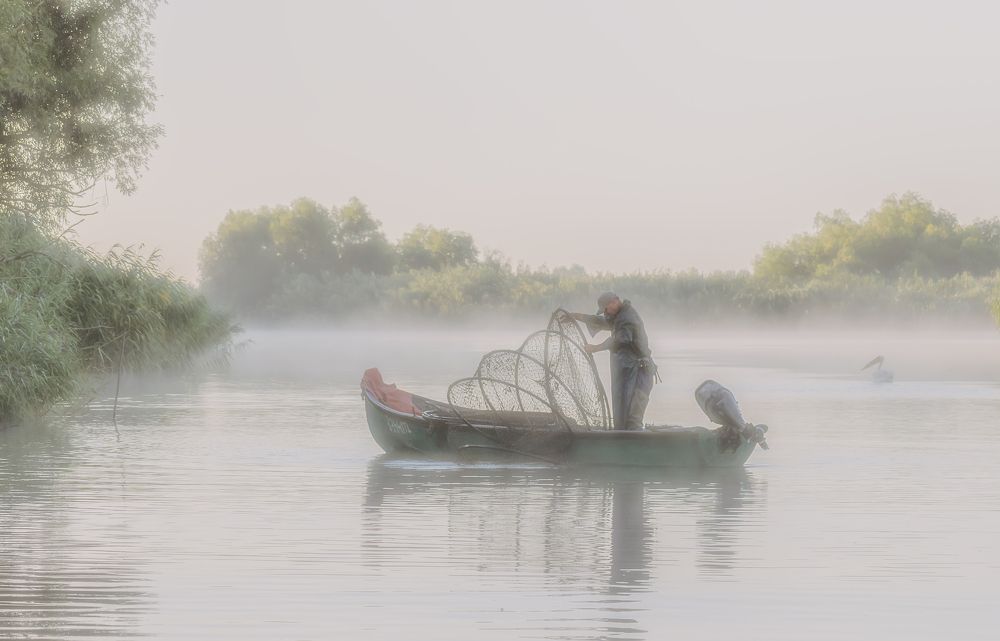 Фотография автора Ceausescu Adriana