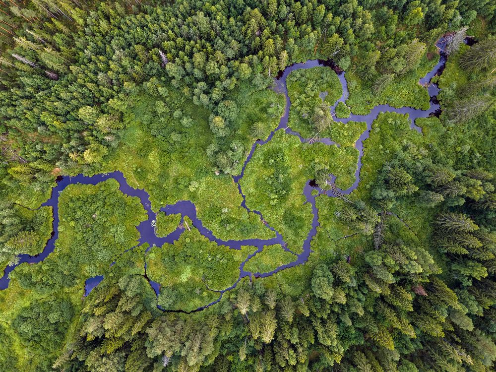 Photograph by Александр Бондаренко