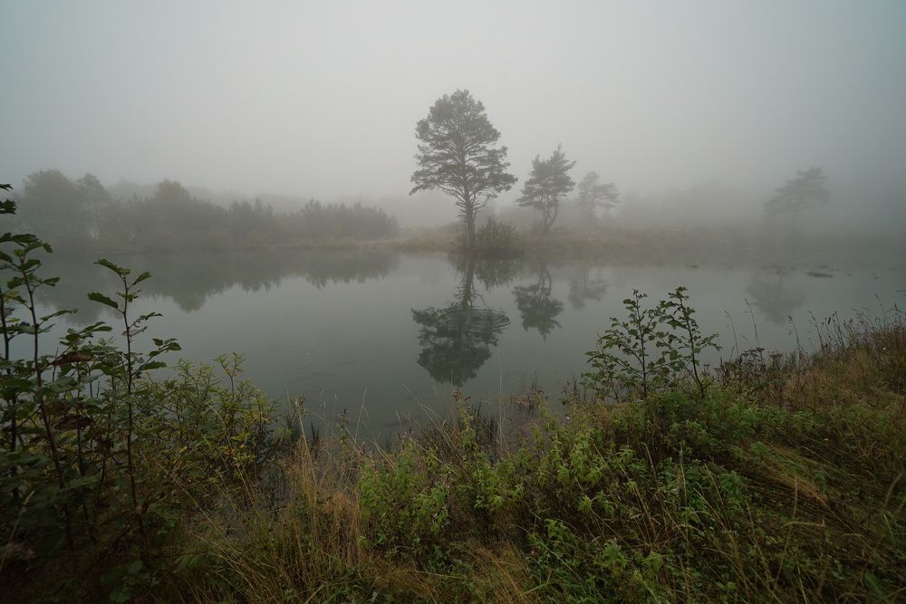 Photograph by Юрий Гаврилов