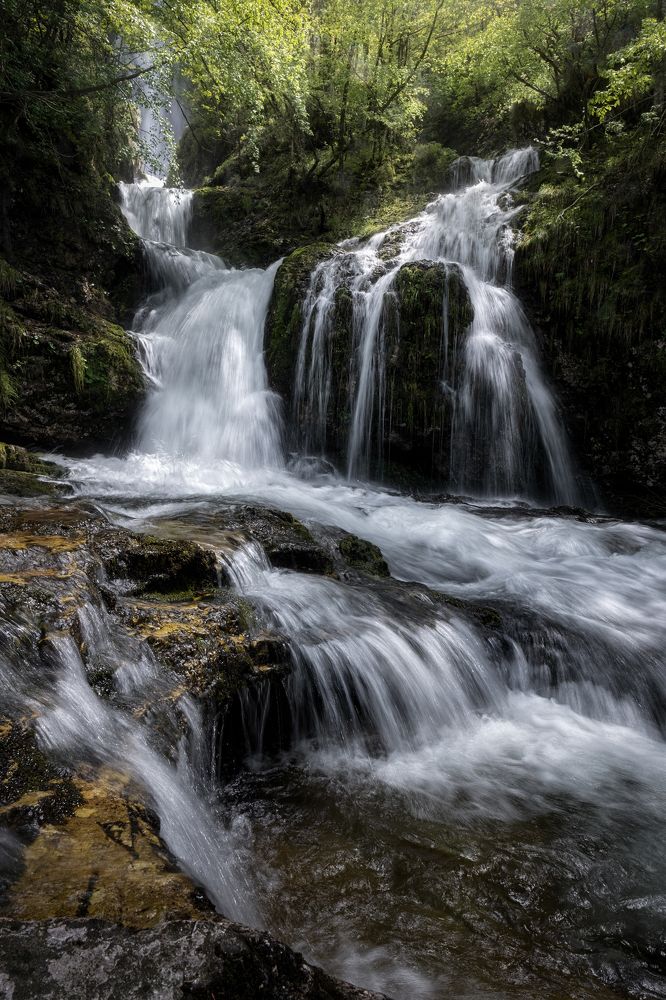 Photograph by Mattia Chersicola