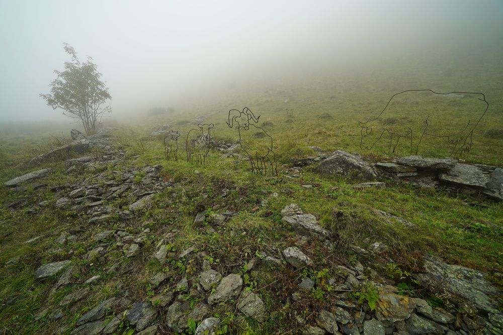 Photograph by Юрий Гаврилов