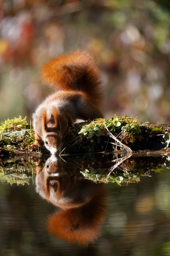 Photograph by Mattia Chersicola