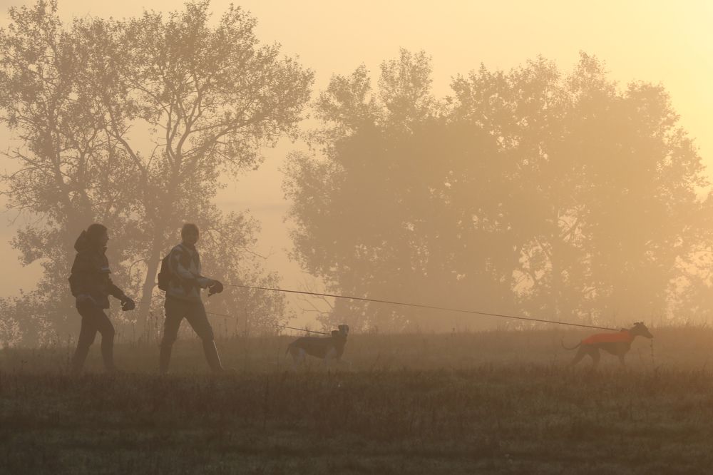 Photograph by Ольга Галецкая