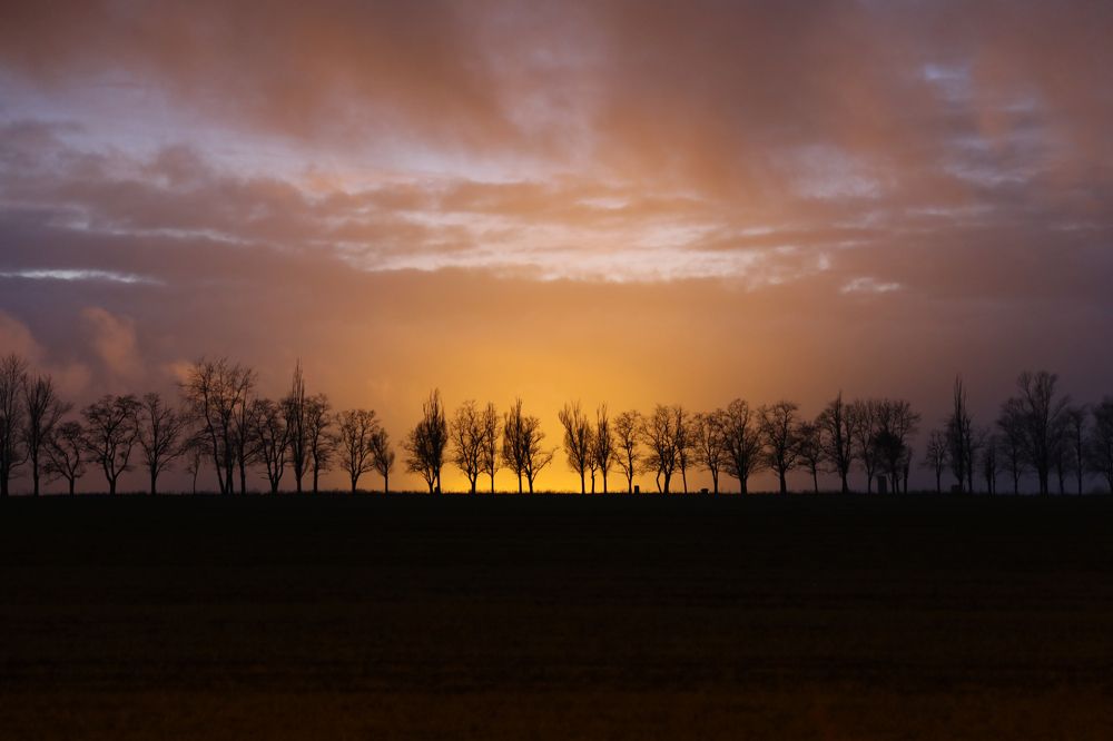 Photograph by Ольга Галецкая