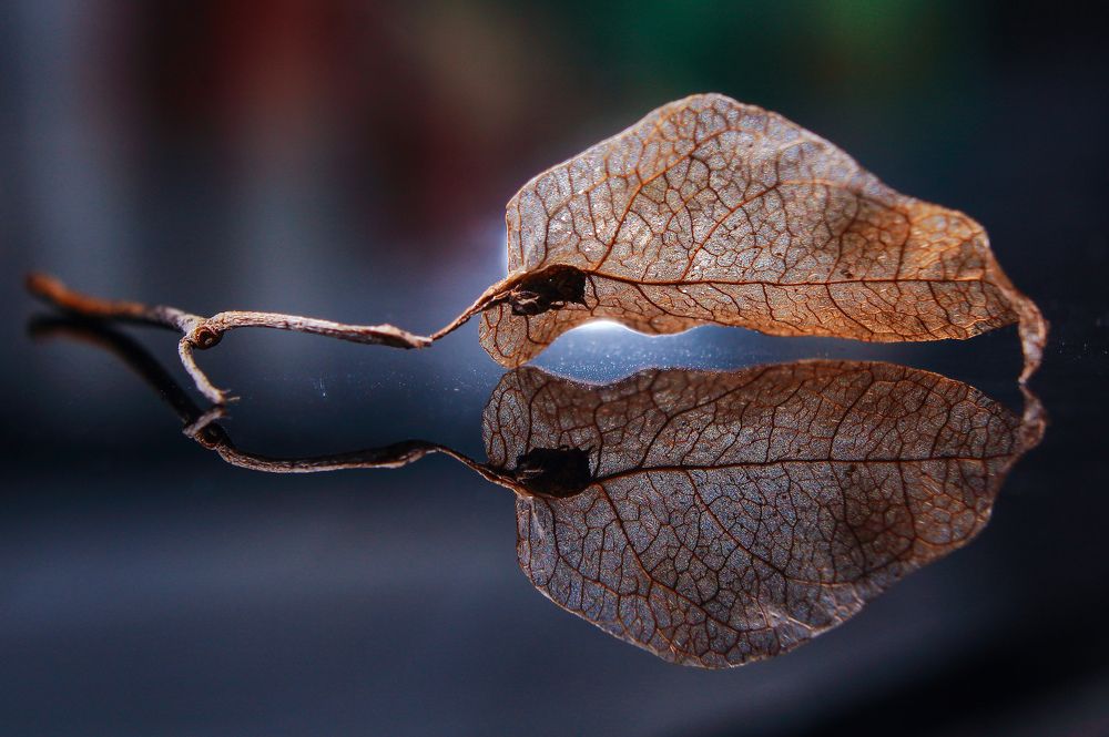 Photograph by Yusuf Buchari