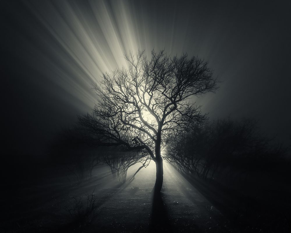 Photograph by Gennadii Zakirov