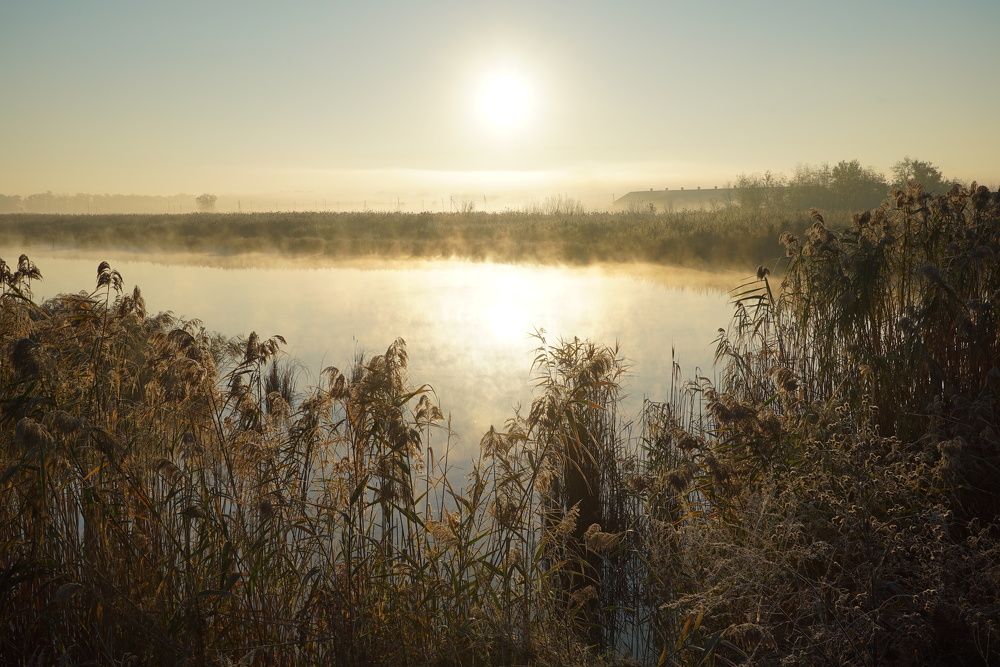 Photograph by Юрий Гаврилов
