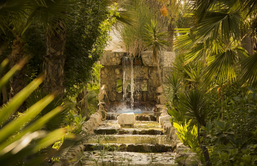 Photograph by All Haroun