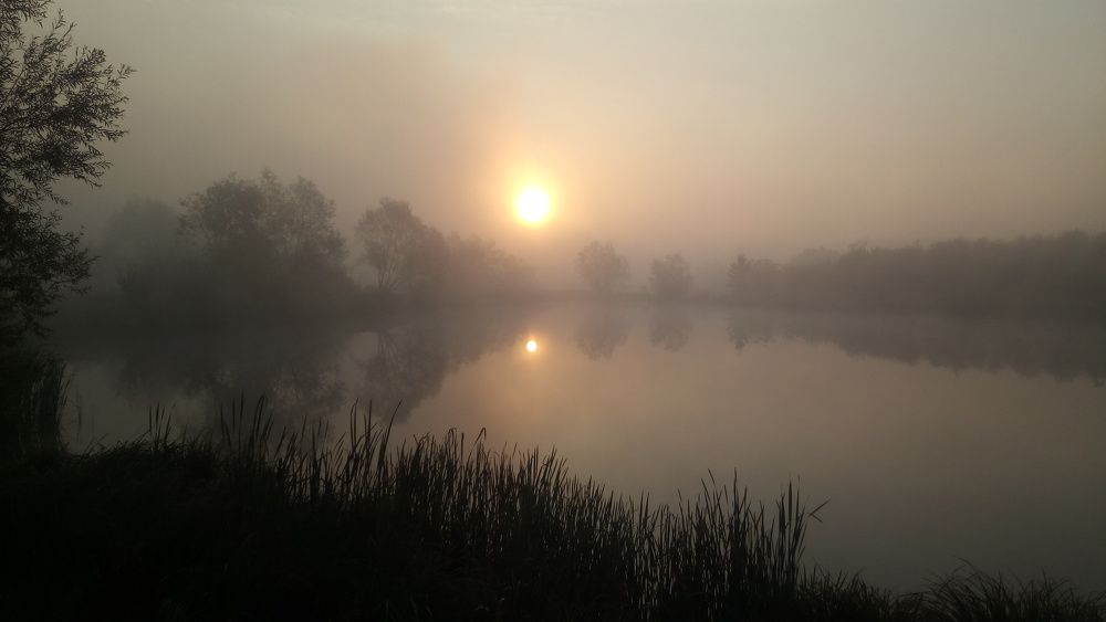 Фотография автора Николай Замковой