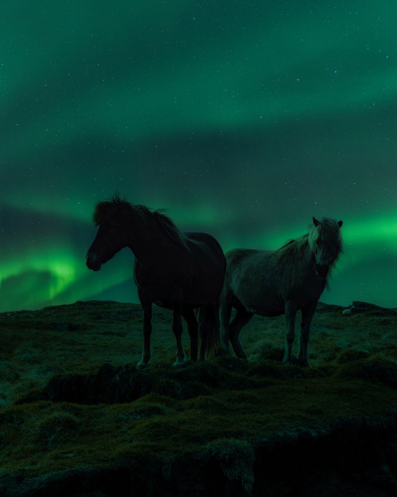 Photograph by Ruzena Bendova