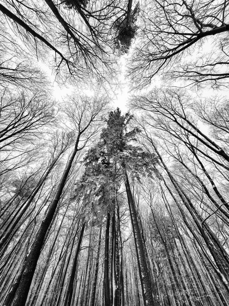 Photograph by Дмитрий Плотников