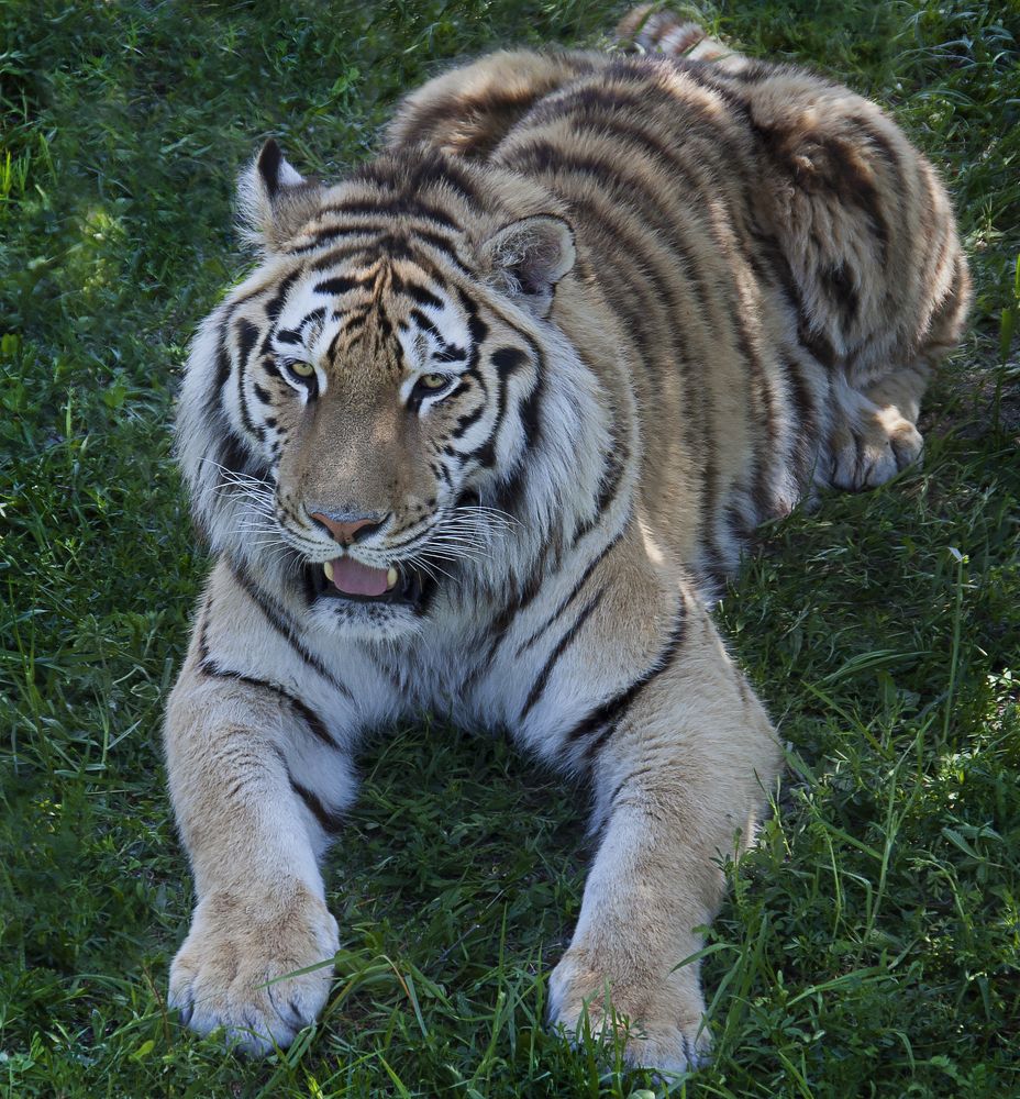 Photograph by Рашид Сафиуллин