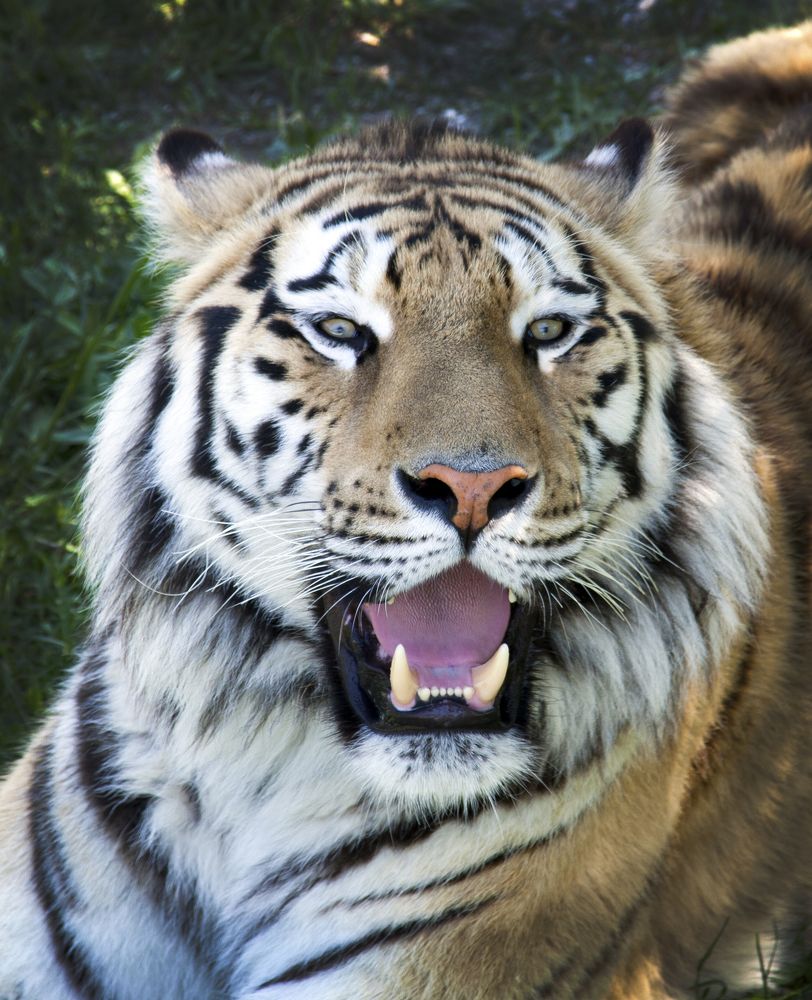 Photograph by Рашид Сафиуллин