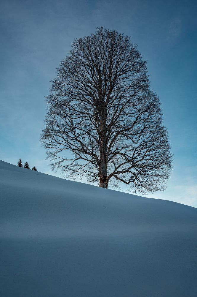 Three of my friend and me