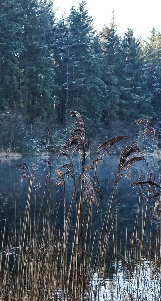 Фотография автора Michael Gault