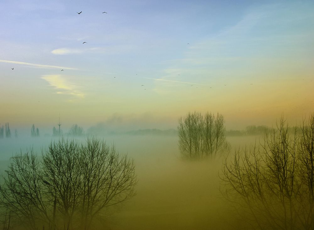 Photograph by Игорь Хижняк