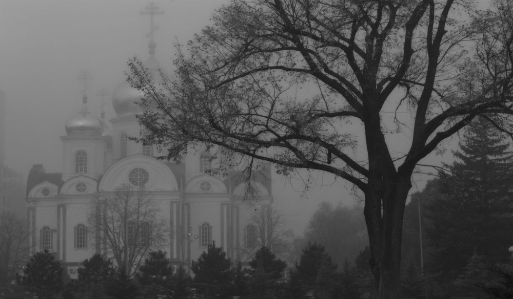 Photograph by Игорь Хижняк