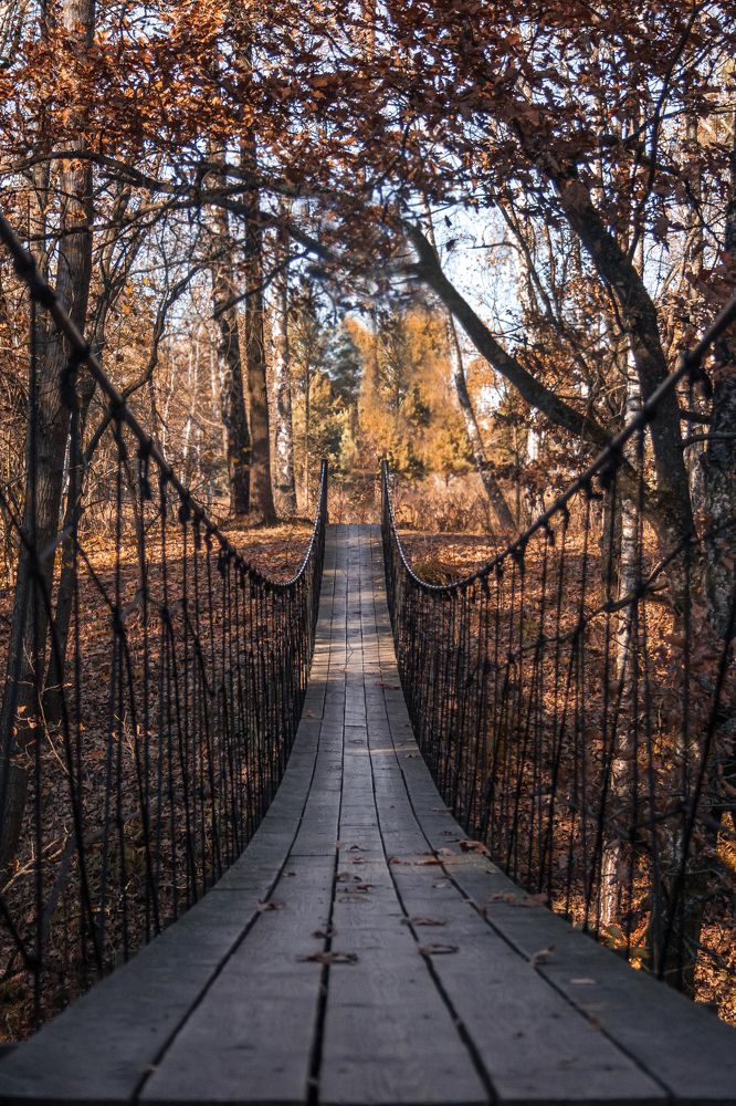Photograph by Ирина Чуб