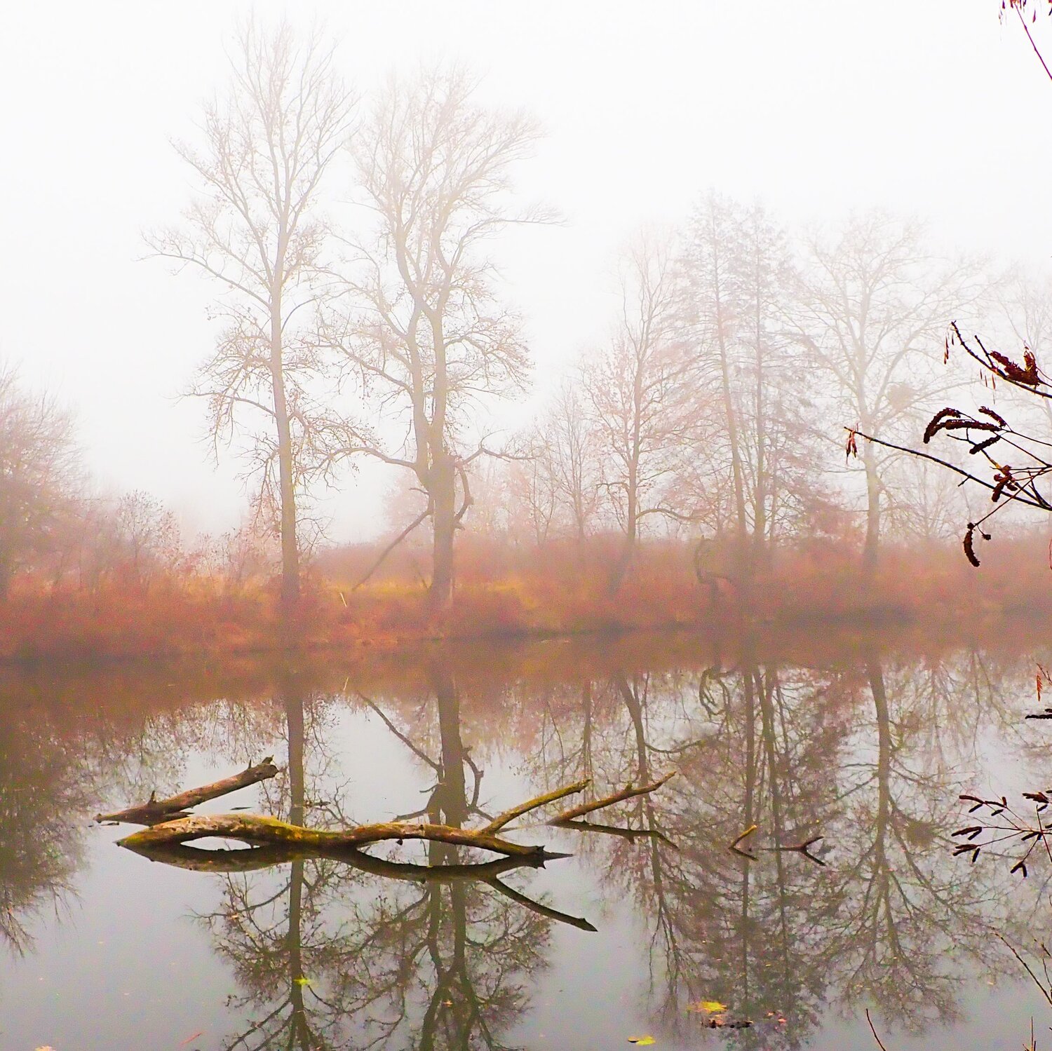Photo #6858970