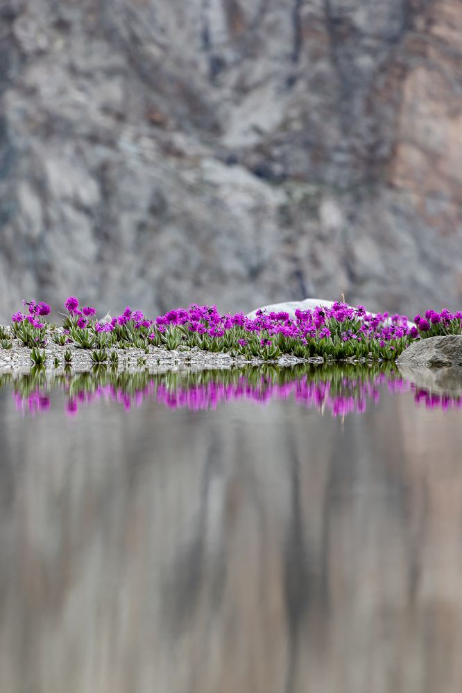 Photograph by Василий Бережной