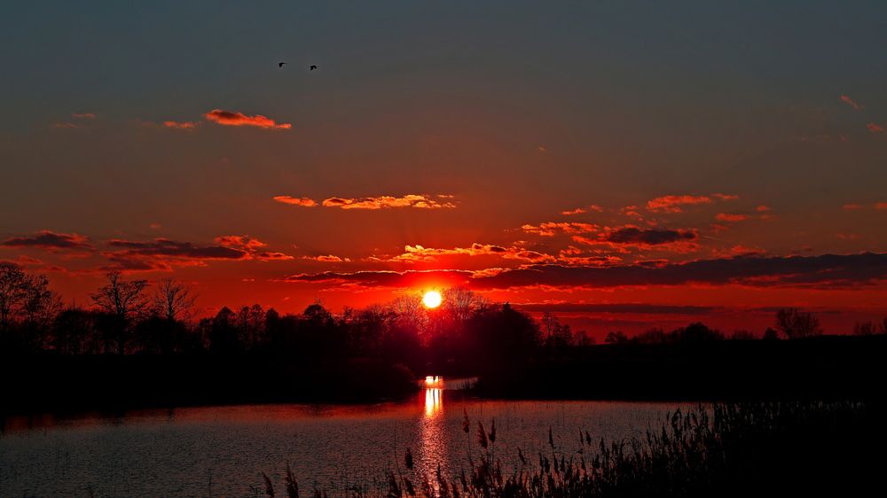 Фотография автора Andrzej