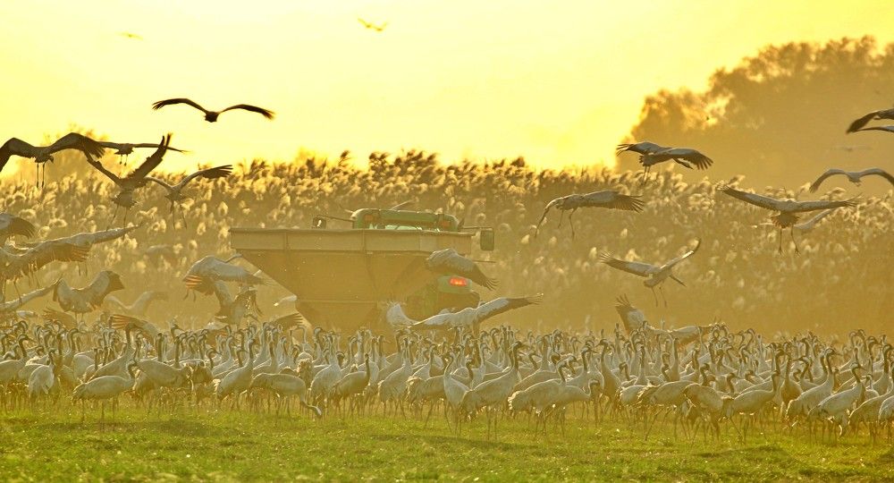 Photograph by Debbie Strauss