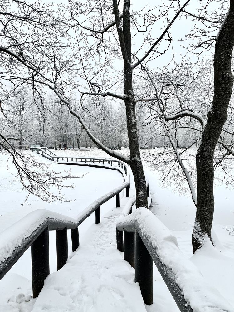 Воронцовский мост