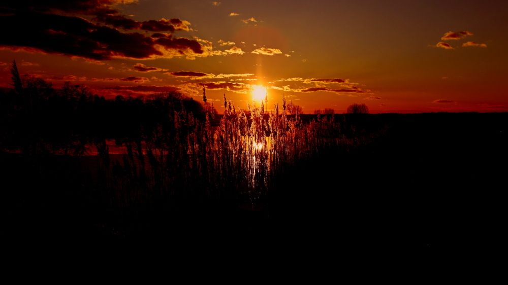 Фотография автора Andrzej